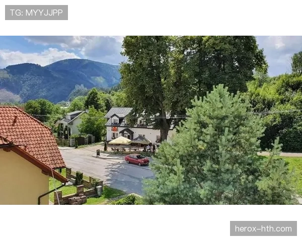 斯洛伐克日利纳推动绿色交通项目，城市可持续发展