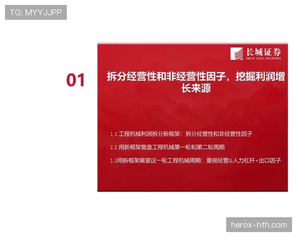 维特斯数据分析揭示:新兴市场正成为驱动企业增长的关键引擎
